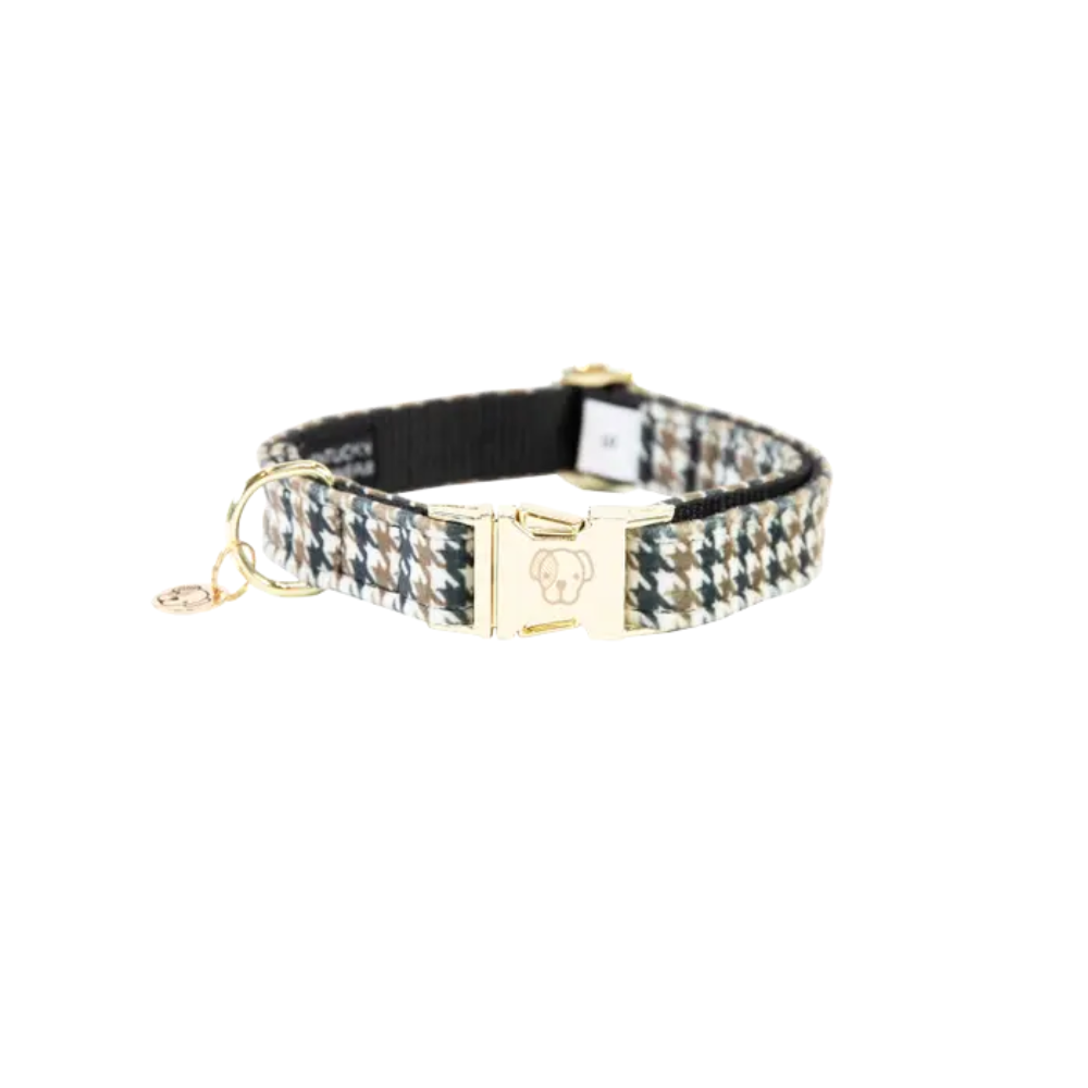 Kentucky Hundehalsband Pied-de-Poule