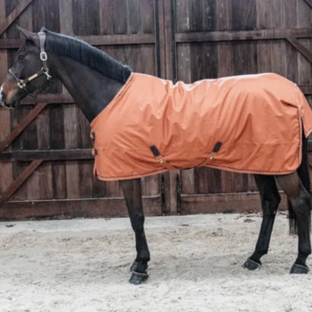 Kentucky Turnout Rug All Weather Pro