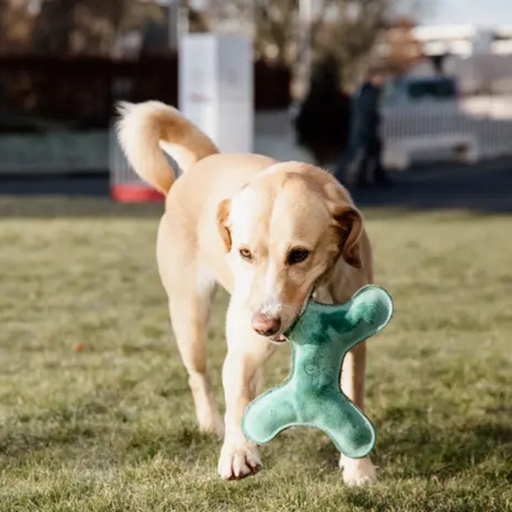 Kentucky Hundespielzeug Pastell Knochen