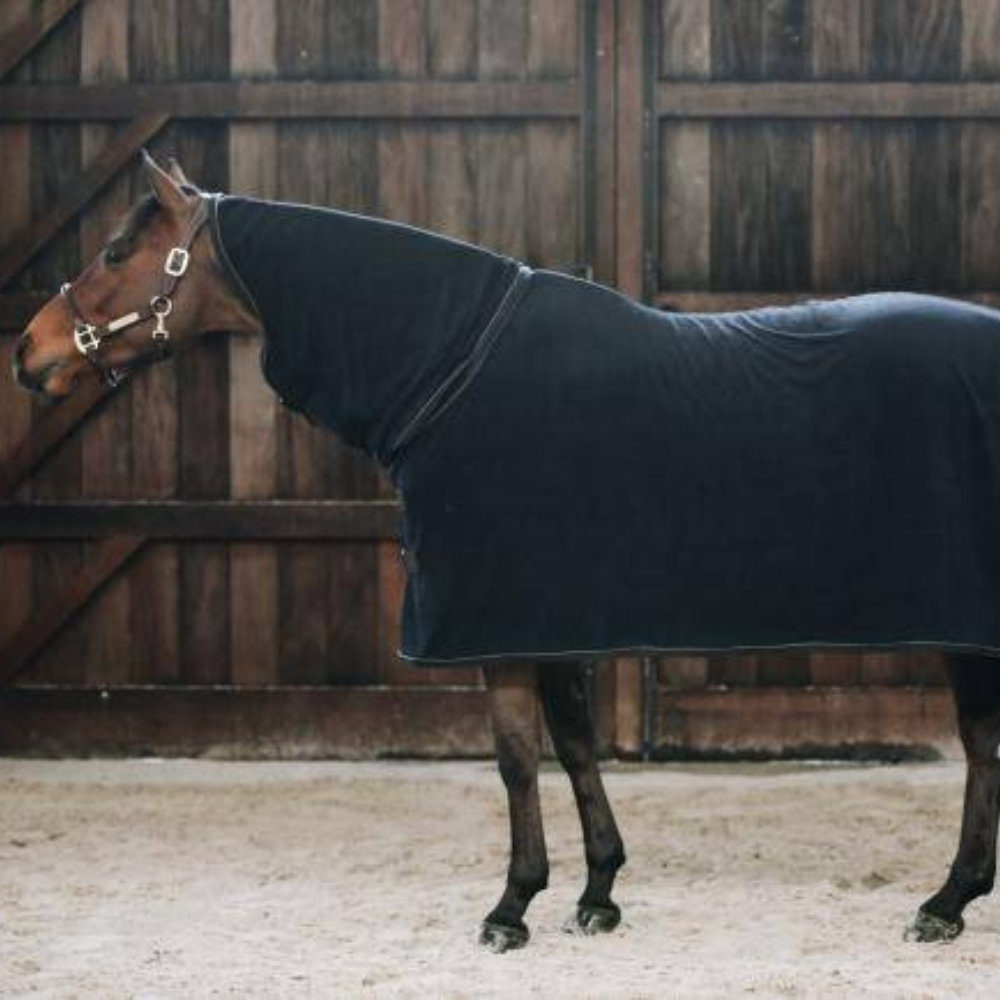 Kentucky Towel Rug