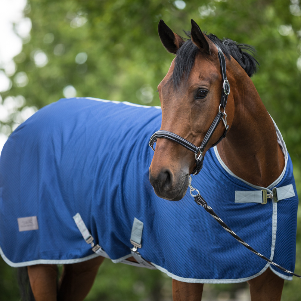 Equine-Microtec Abschwitzdecke "Fast-Dry"