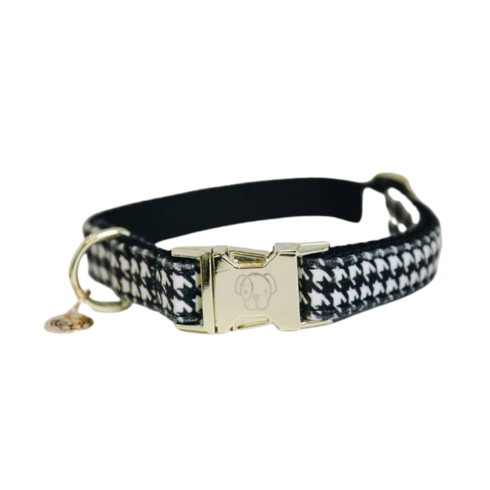 Kentucky Hundehalsband Pied-de-Poule