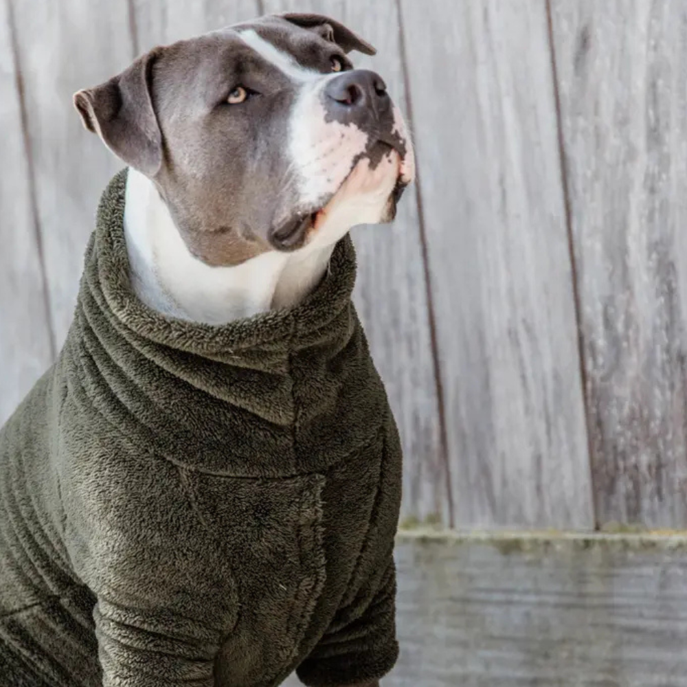 Kentucky Hundepullover Fleece