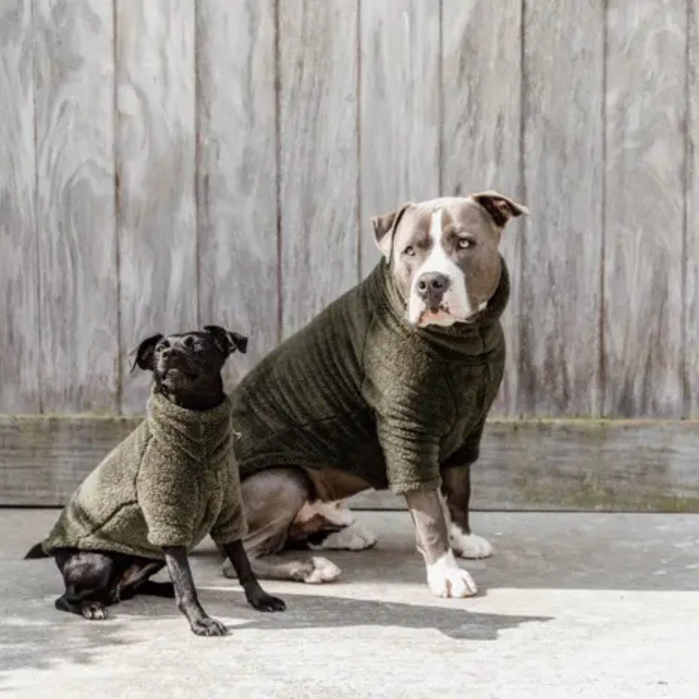 Kentucky Hundepullover Fleece