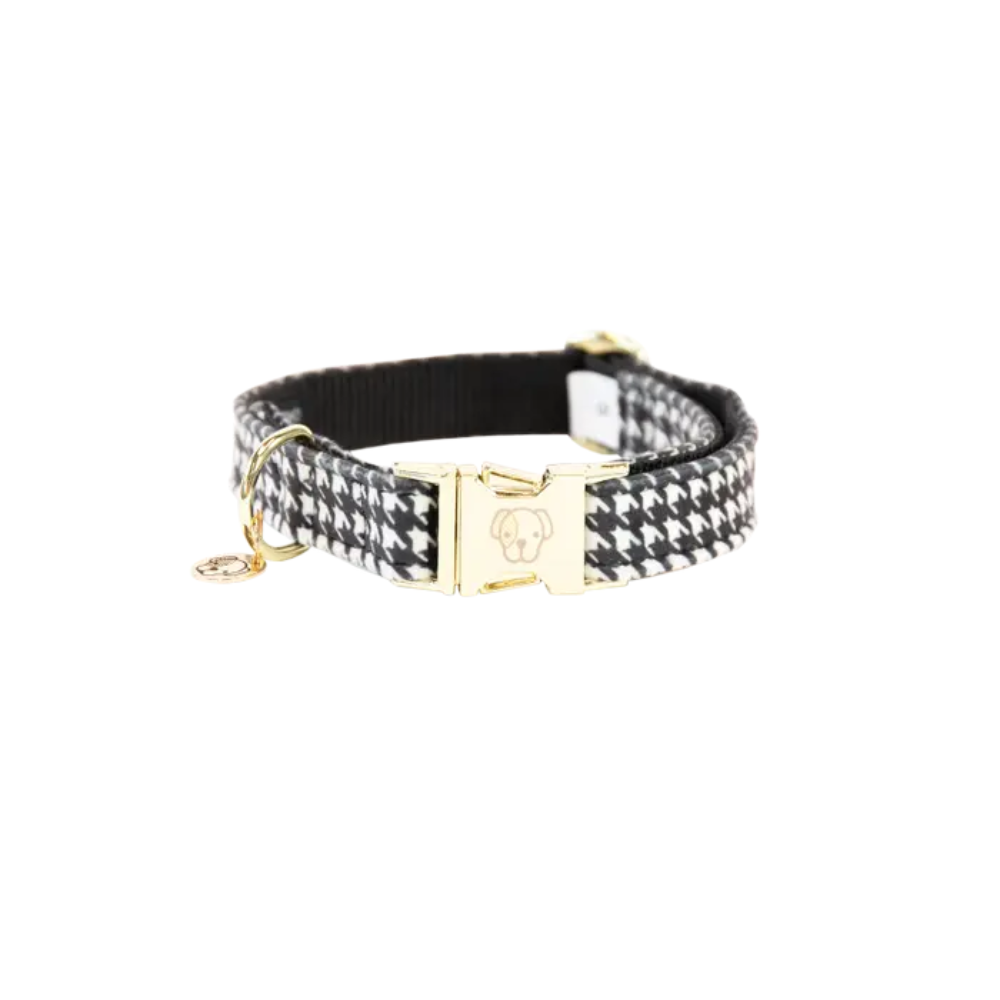 Kentucky Hundehalsband Pied-de-Poule