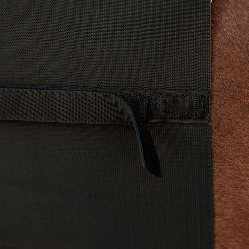 Kentucky Bauchschutz