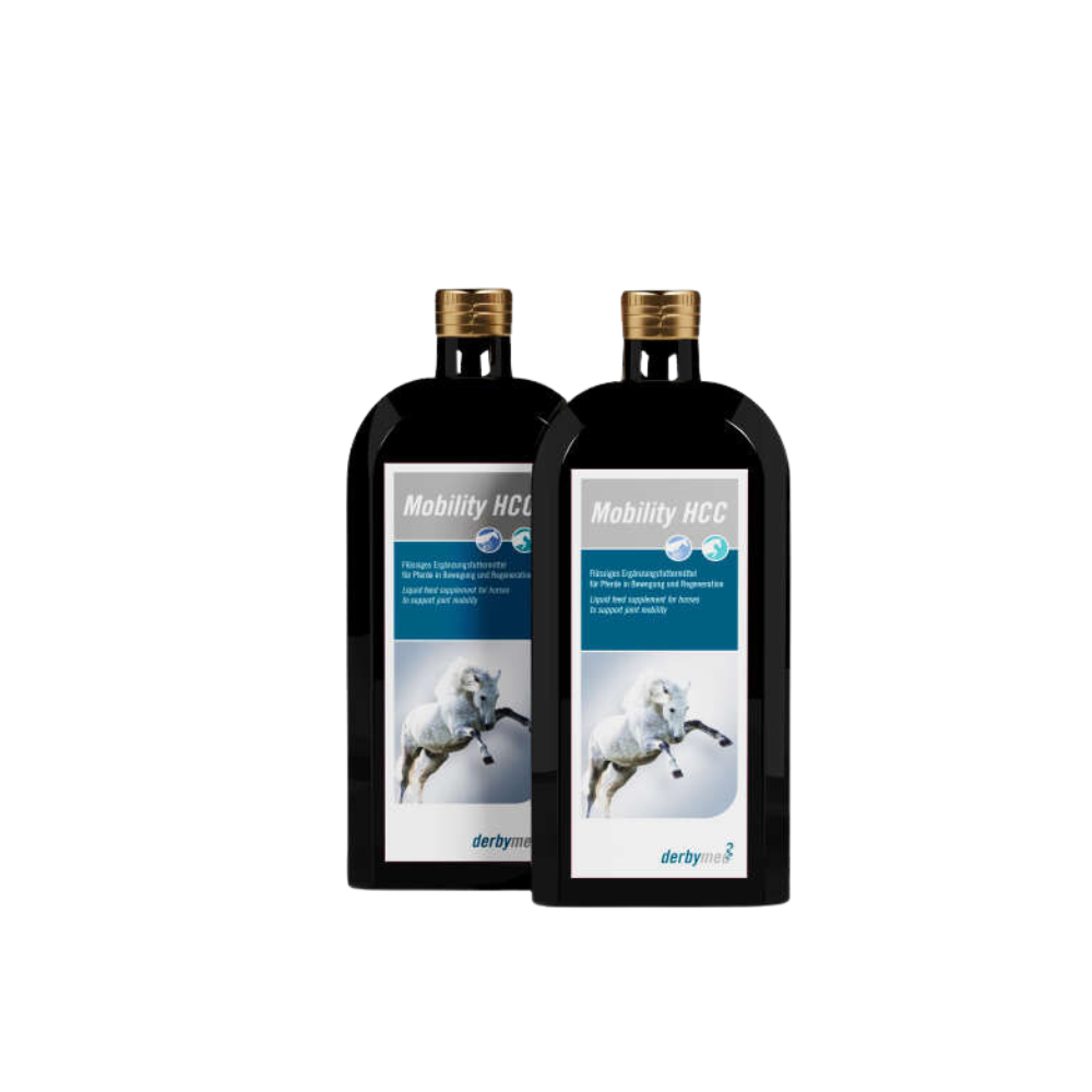 derbymed Mobility HCC