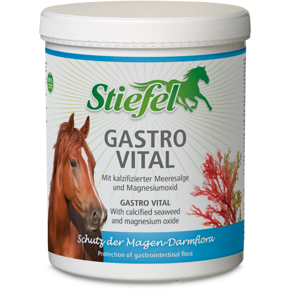 Stiefel Gastro Vital