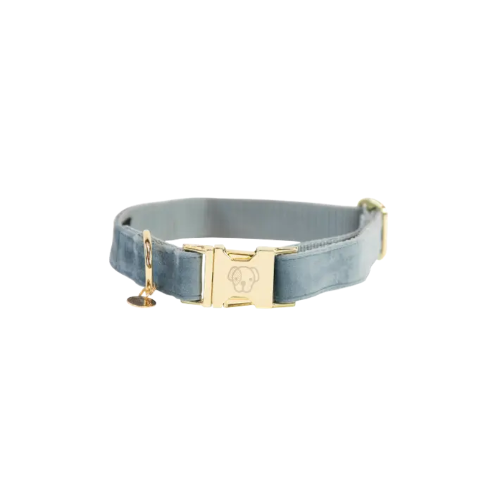 Kentucky Hundehalsband Velvet