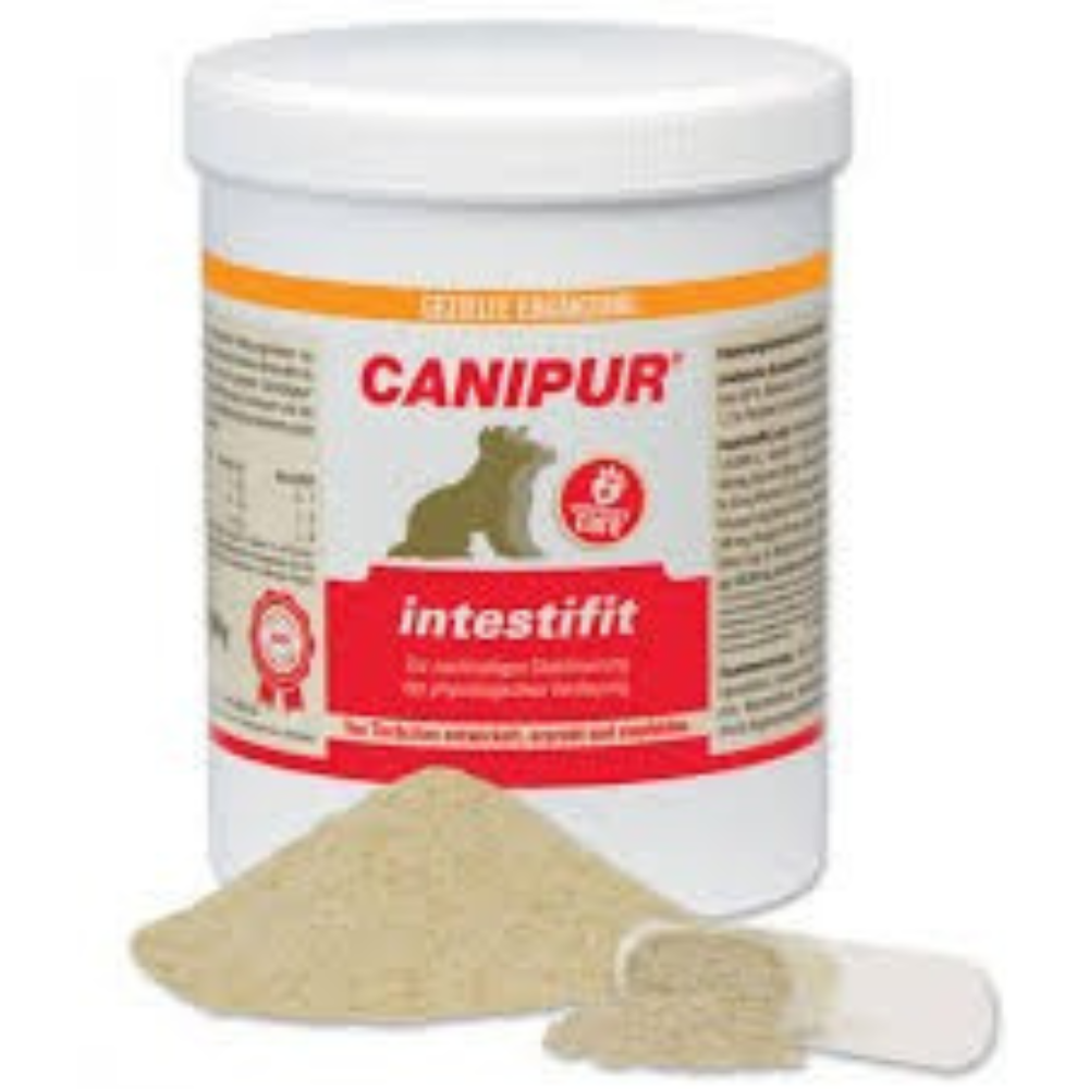 Canipur intestifit