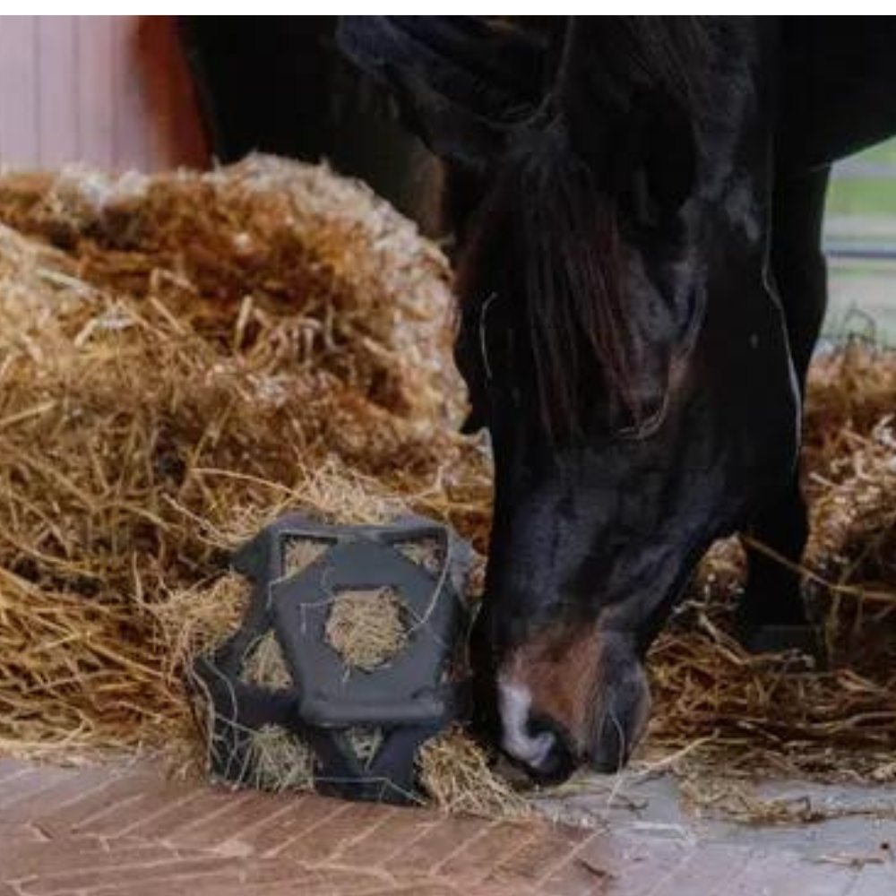 Kentucky Relax Horse Play & Hay Ball