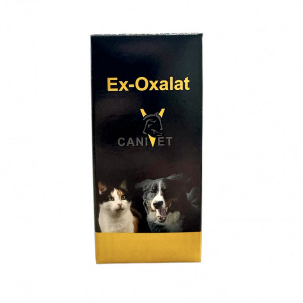 Canivet Ex-Oxalat
