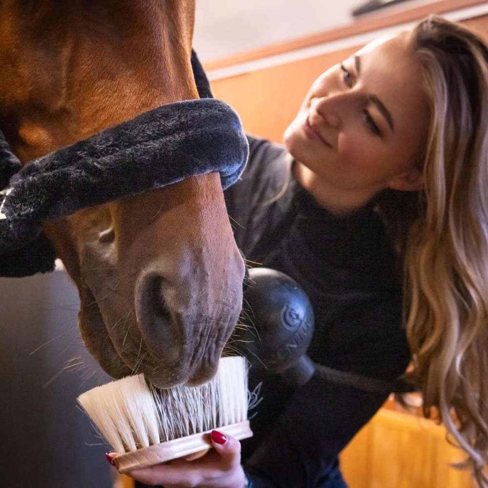 Fritz & Frodewin Wurzelbürste Frieda