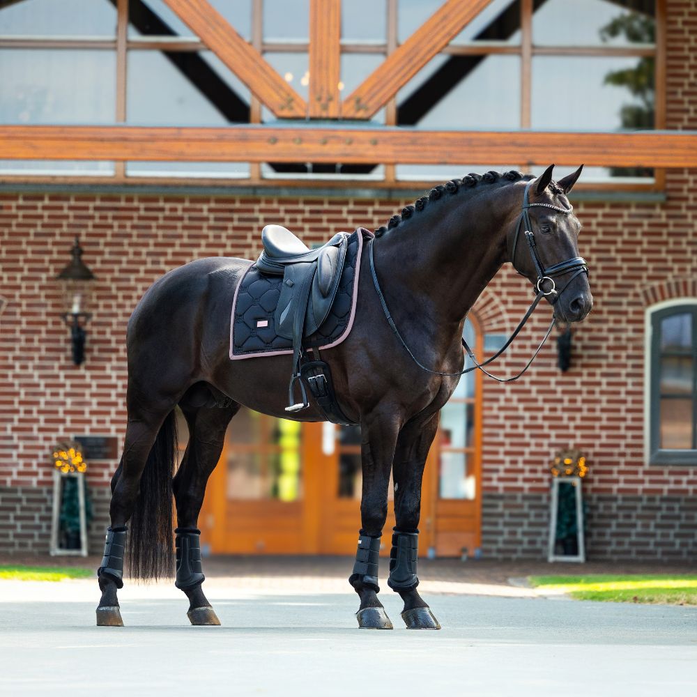 Equestrian Stockholm Dressurschabracke Black Blush