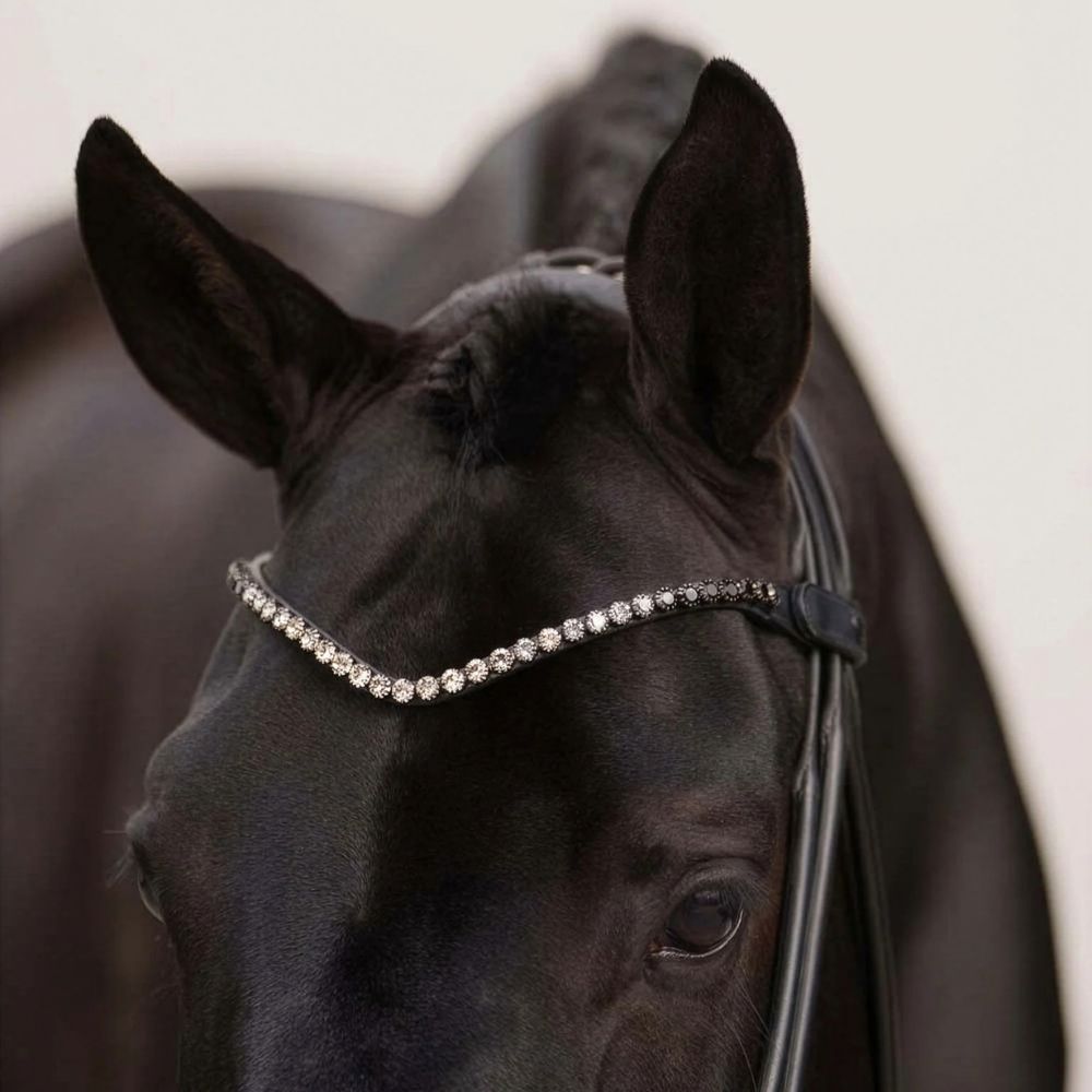 Equestrian Stockholm Stirnriemen Faded Black 8mm