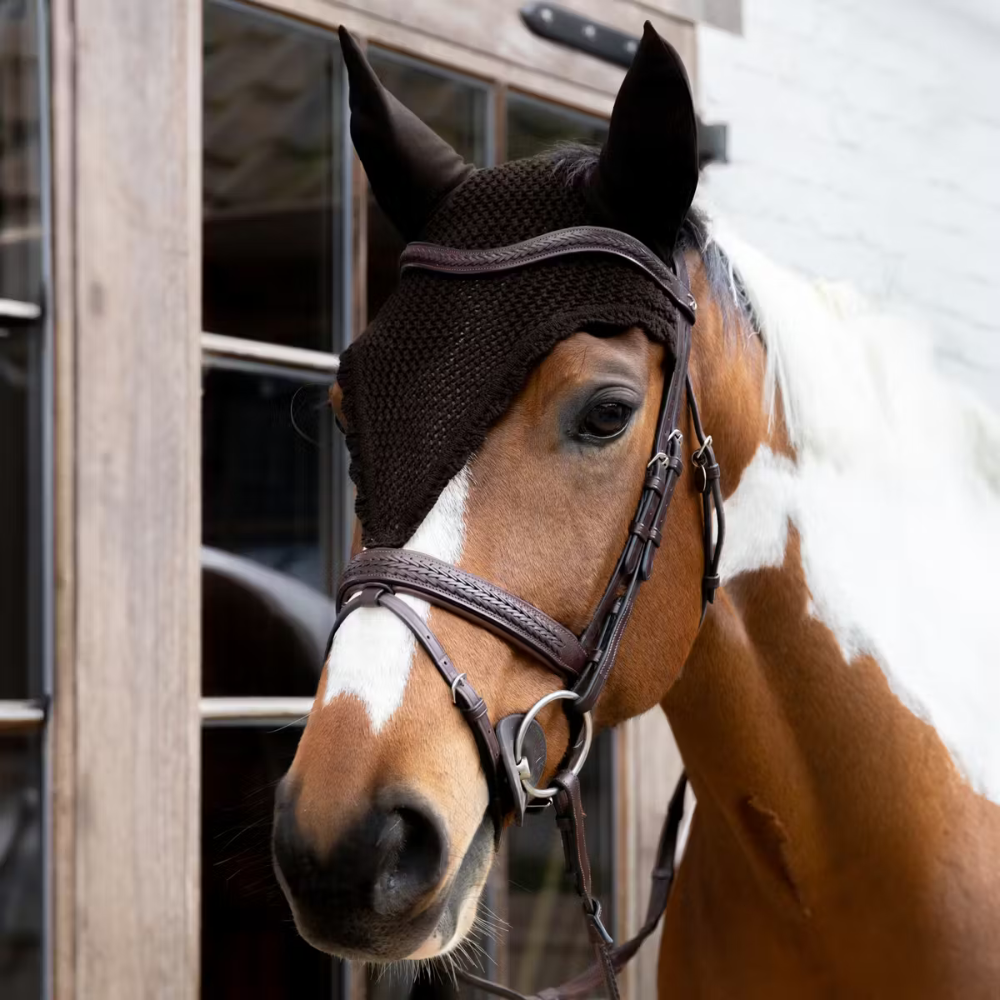 Kentucky Fliegenhaube Lang