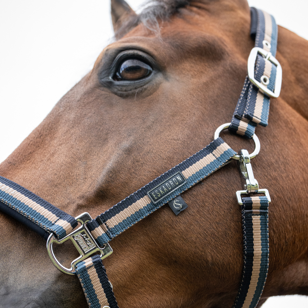 Eskadron Halfter DOUBLE PIN, Classic Sports 26