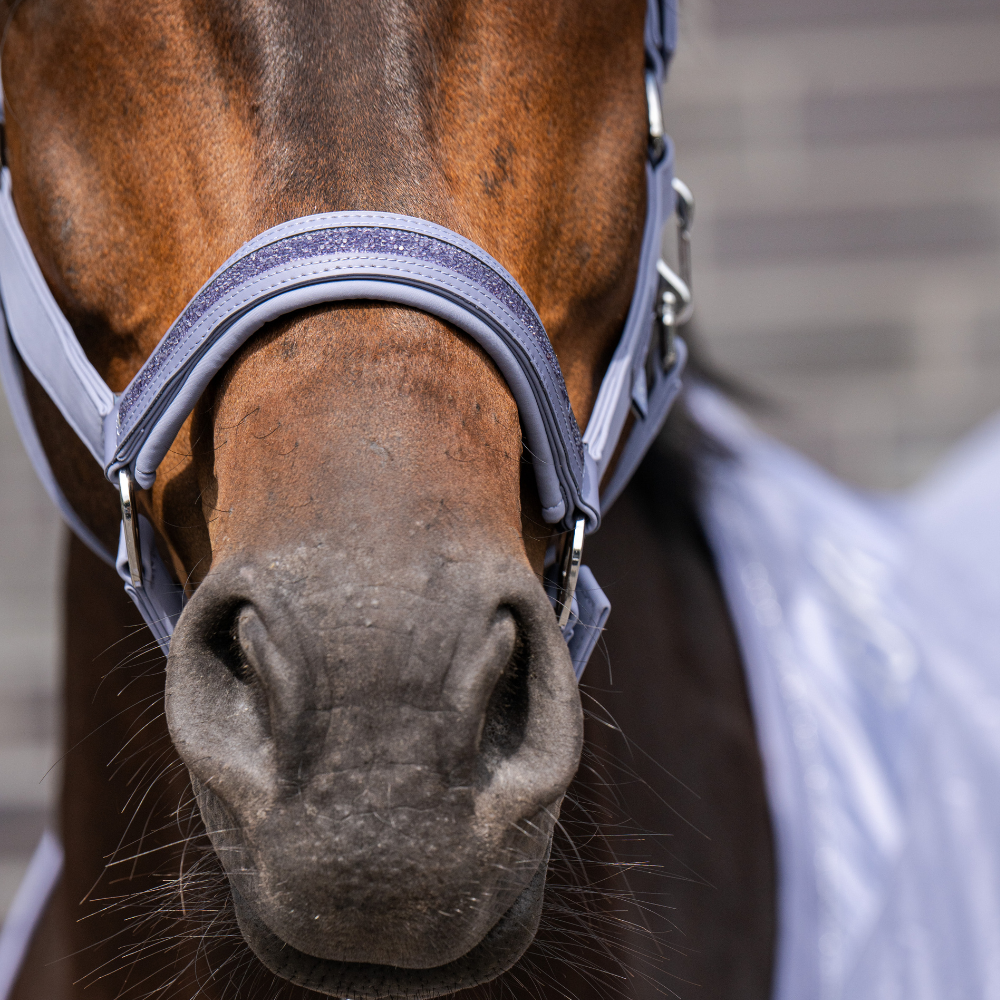 Eskadron Halfter SOFTSHELL JEWEL DP, Classic Sports 26