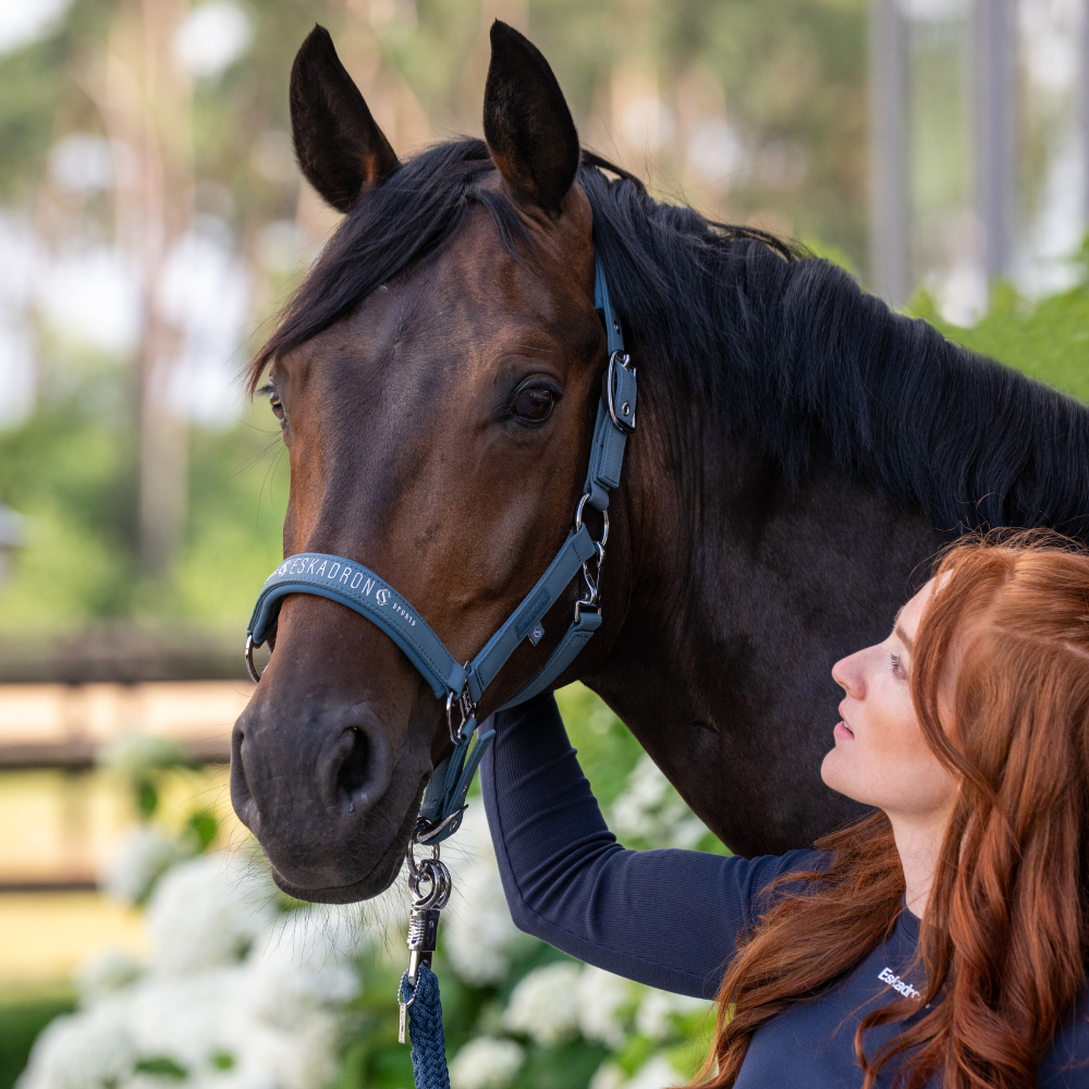 Eskadron Halfter SPARKLE DOUBLE PIN, Classic Sports 26