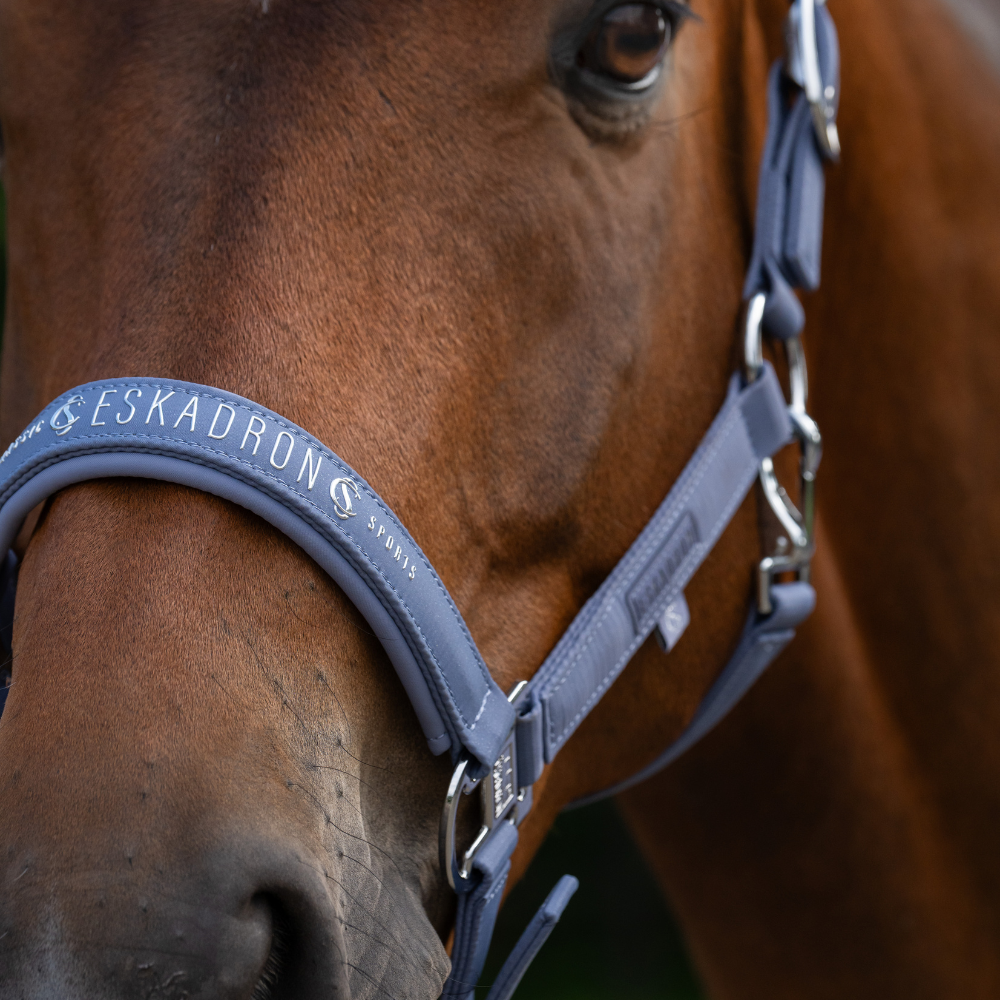 Eskadron Halfter SPARKLE DOUBLE PIN, Classic Sports 26