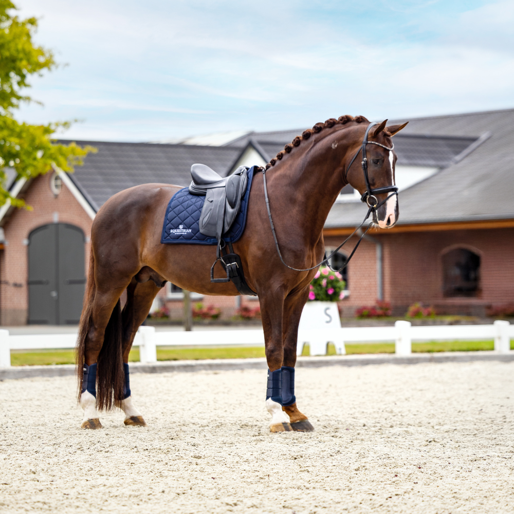 Equestrian Stockholm Dressurschabracke Line Navy