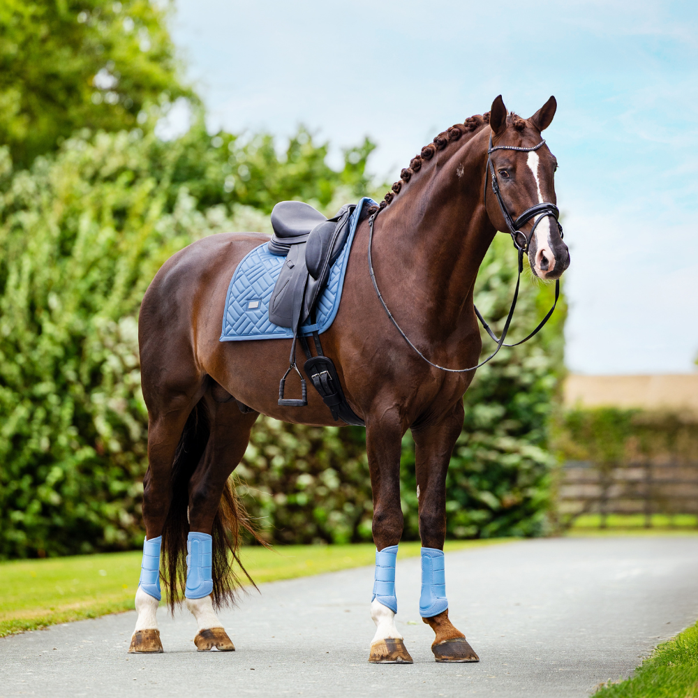 Equestrian Stockholm Dressurschabracke Modern Midsummer Blue