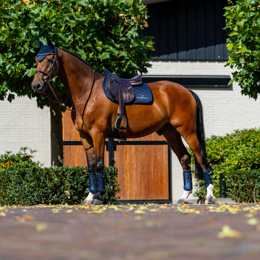 Equestrian Stockholm Springschabracke Line Navy