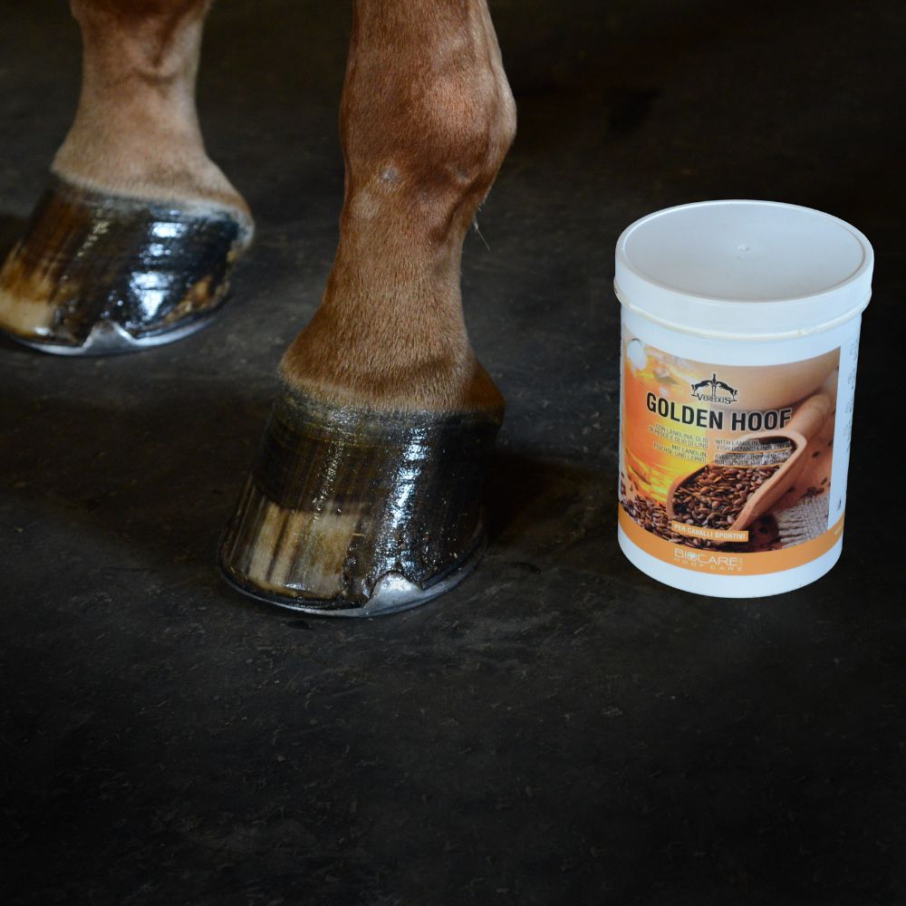 Veredus Golden Hoof