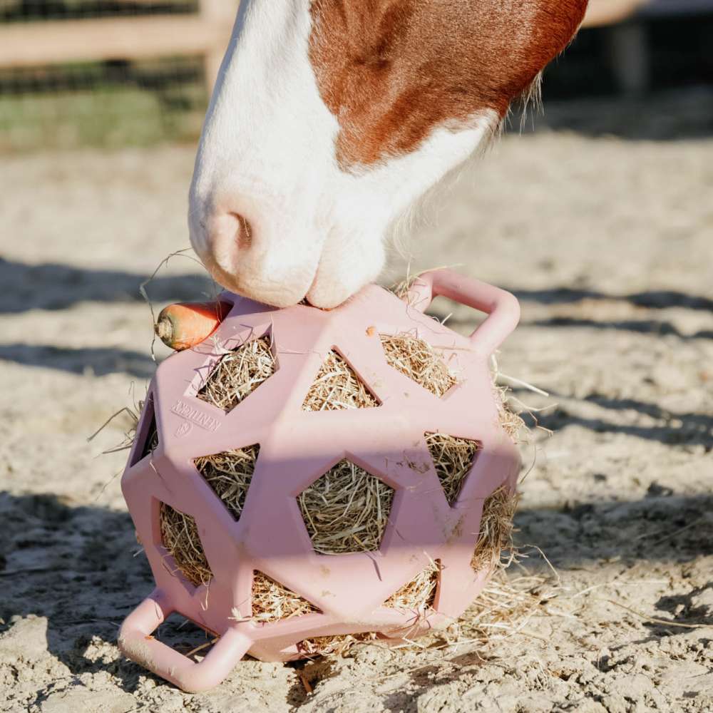 Kentucky Relax Horse Play & Hay Ball