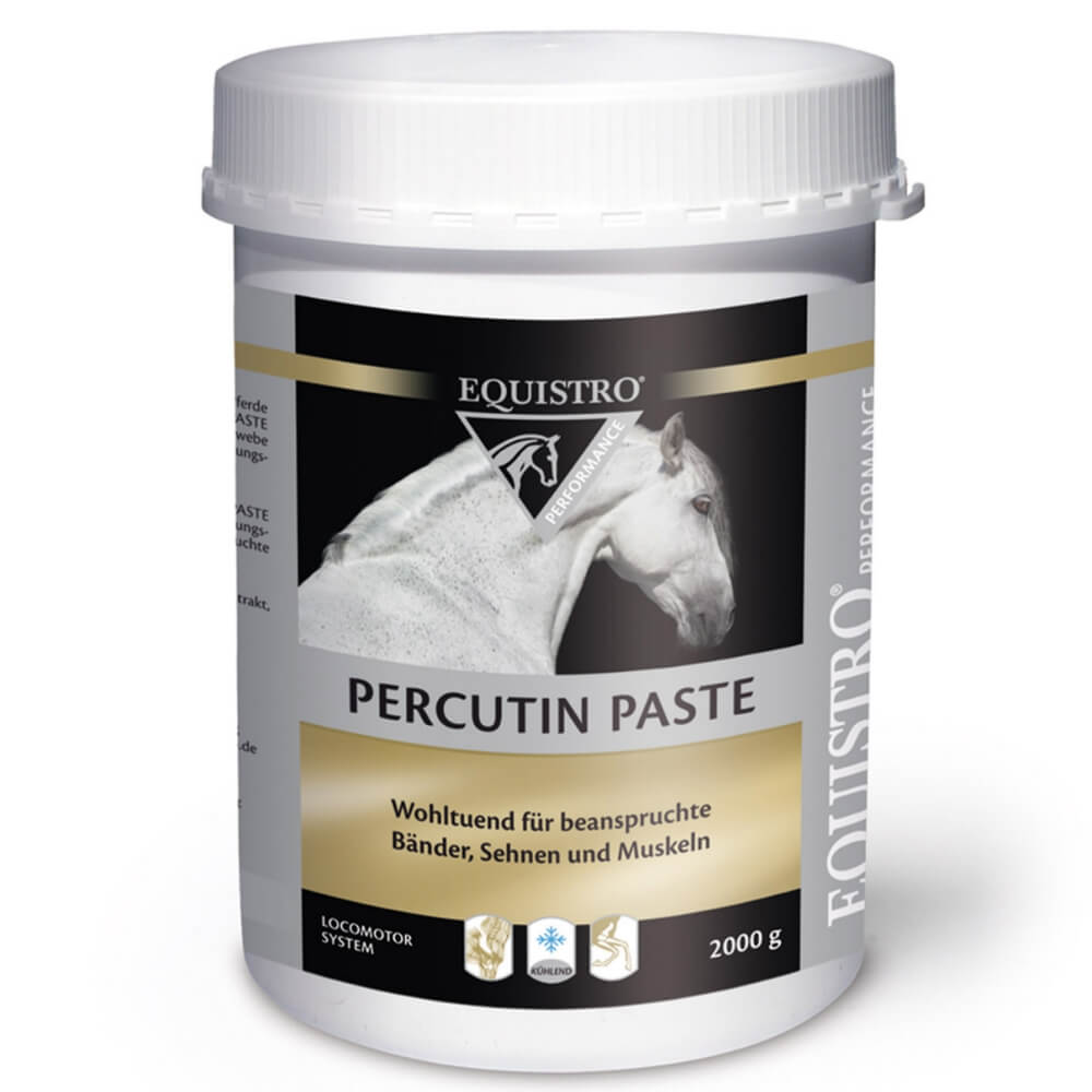 Equistro Percutin Paste