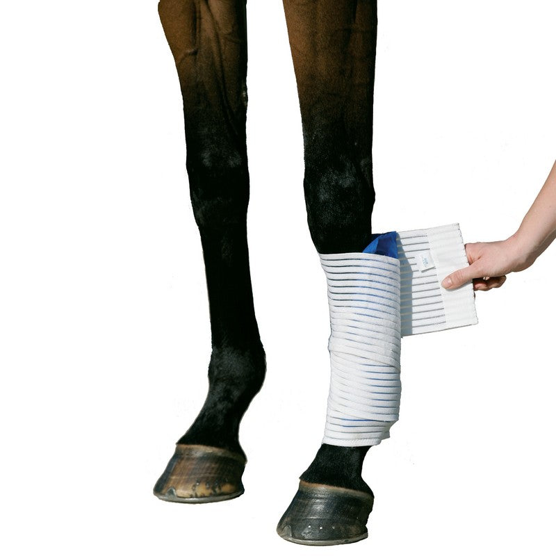 Stübben Kryo Kompakt Horse elastische Bandage