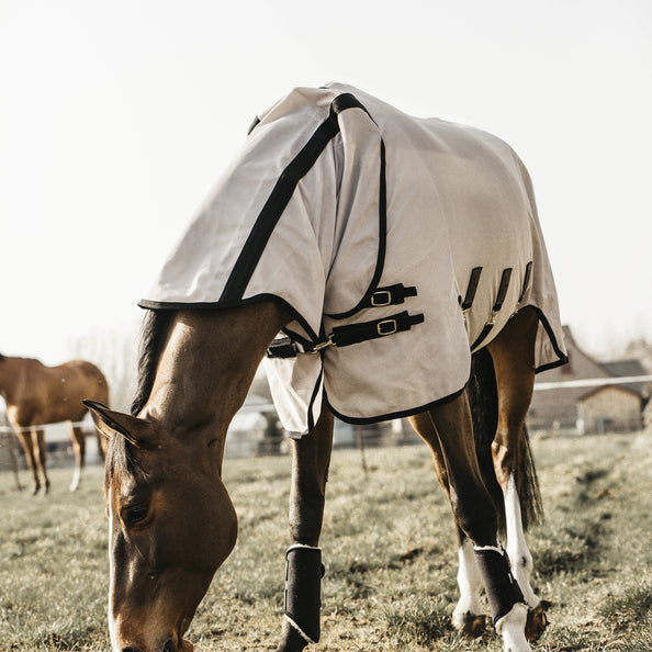 Kentucky Fliegendecke beige