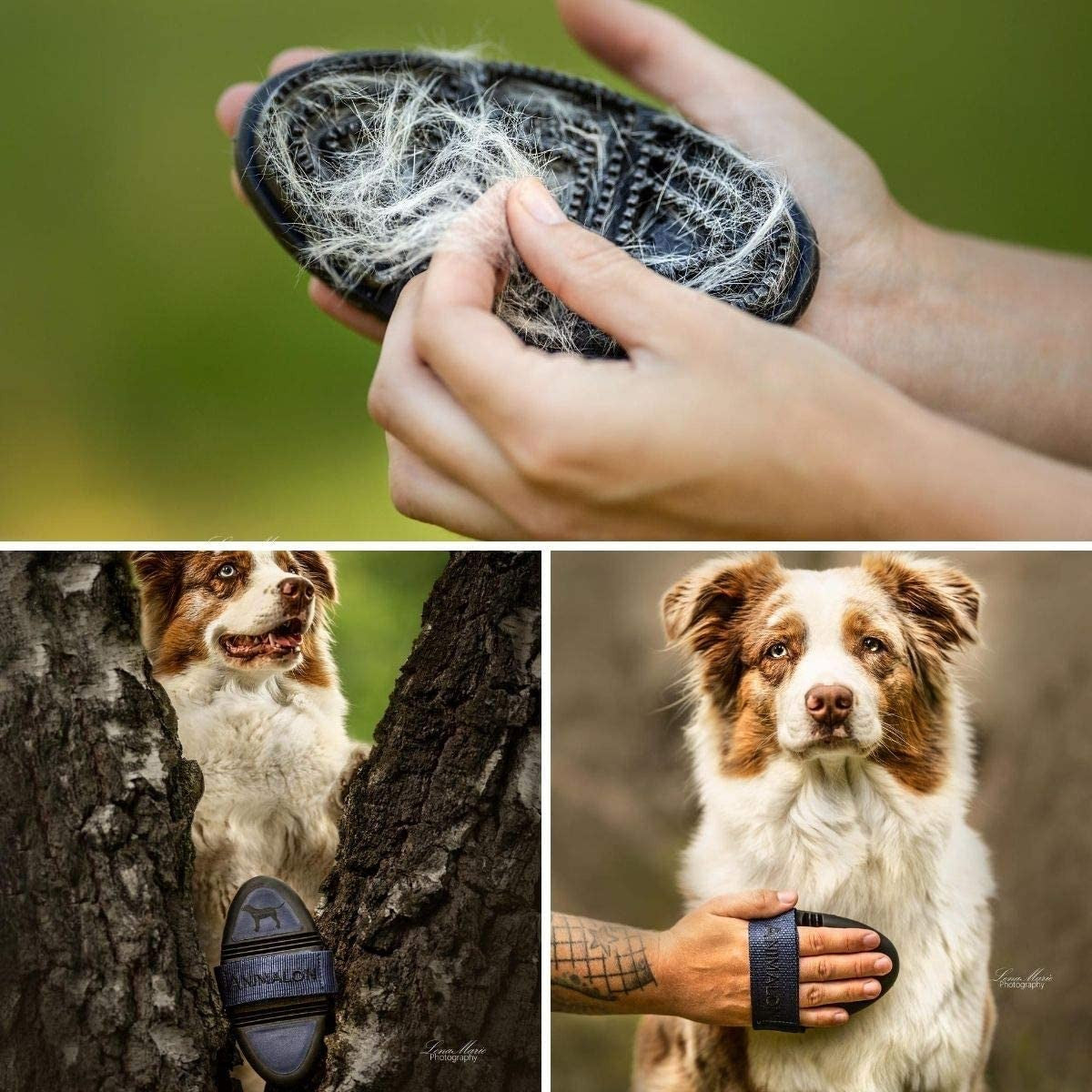 Animalon Kurzhaar-Striegel für Hunde, kleine Bürste