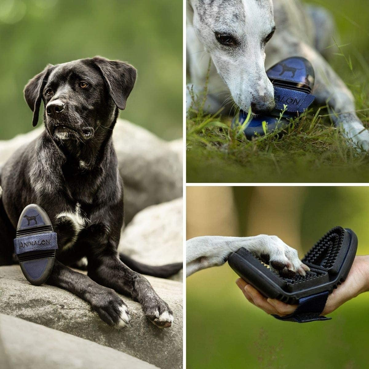 Animalon Kurzhaar-Striegel für Hunde, große Bürste