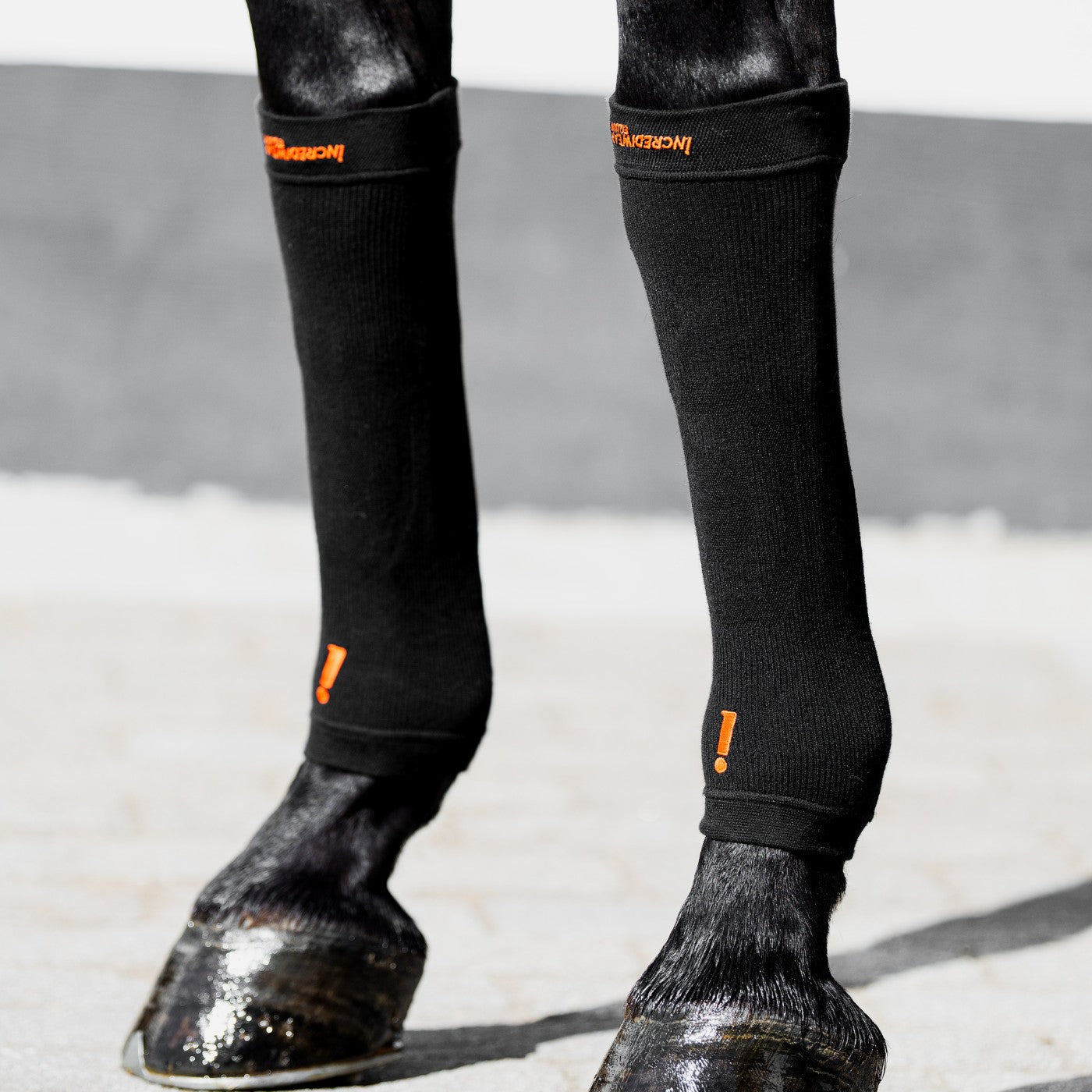 ESS Incrediwear Equine Hoof Socks Limited Edition Black