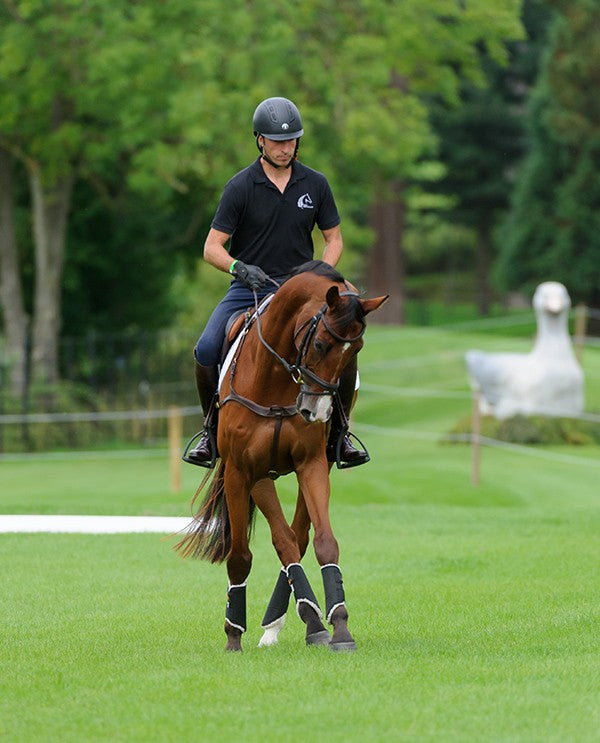 Kentucky Arbeitsgamaschen Solimbra