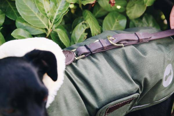 Kentucky Hundemantel Waterproof 300g
