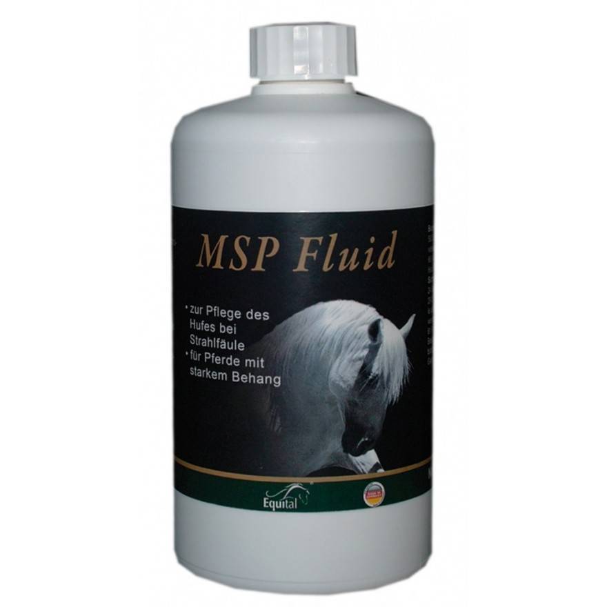 Equital MSP Fluid