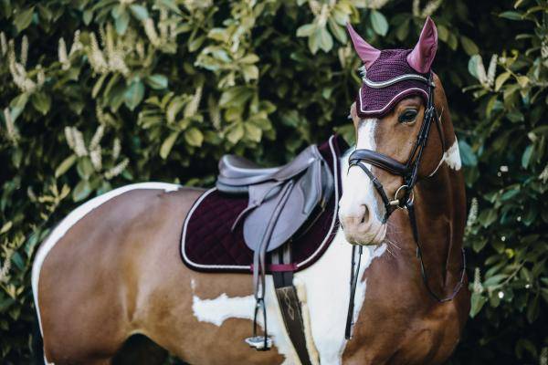 Kentucky Fliegenhaube Wellington Corduroy