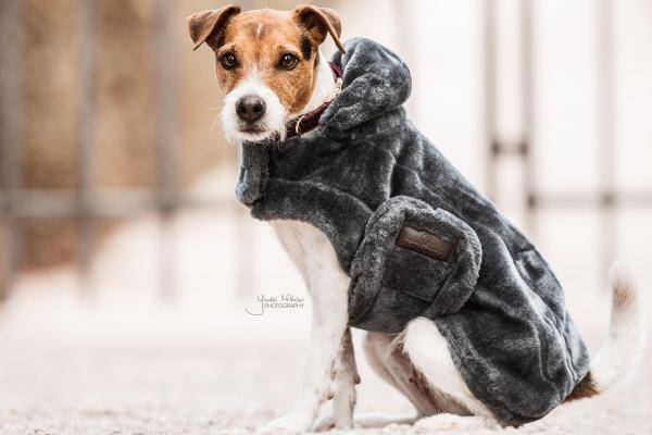 Kentucky Hundemantel aus Kunstpelz