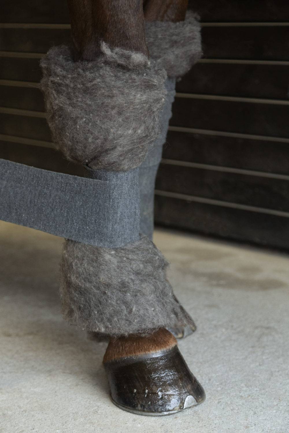 Woolherd Woolpad Stall-Bandagierunterlagen aus Schafswolle