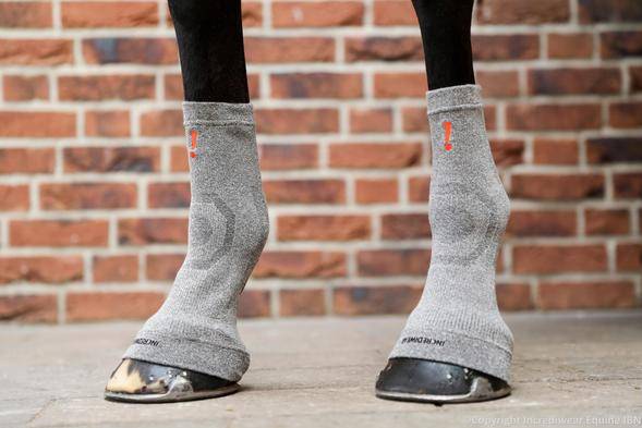 ESS Incrediwear Equine Hoof Socks