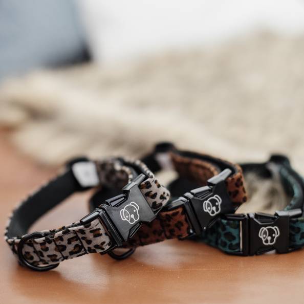 Kentucky Hundehalsband Leopard