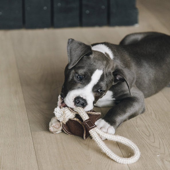 Kentucky Hundespielzeug Baumwollseil Baseball