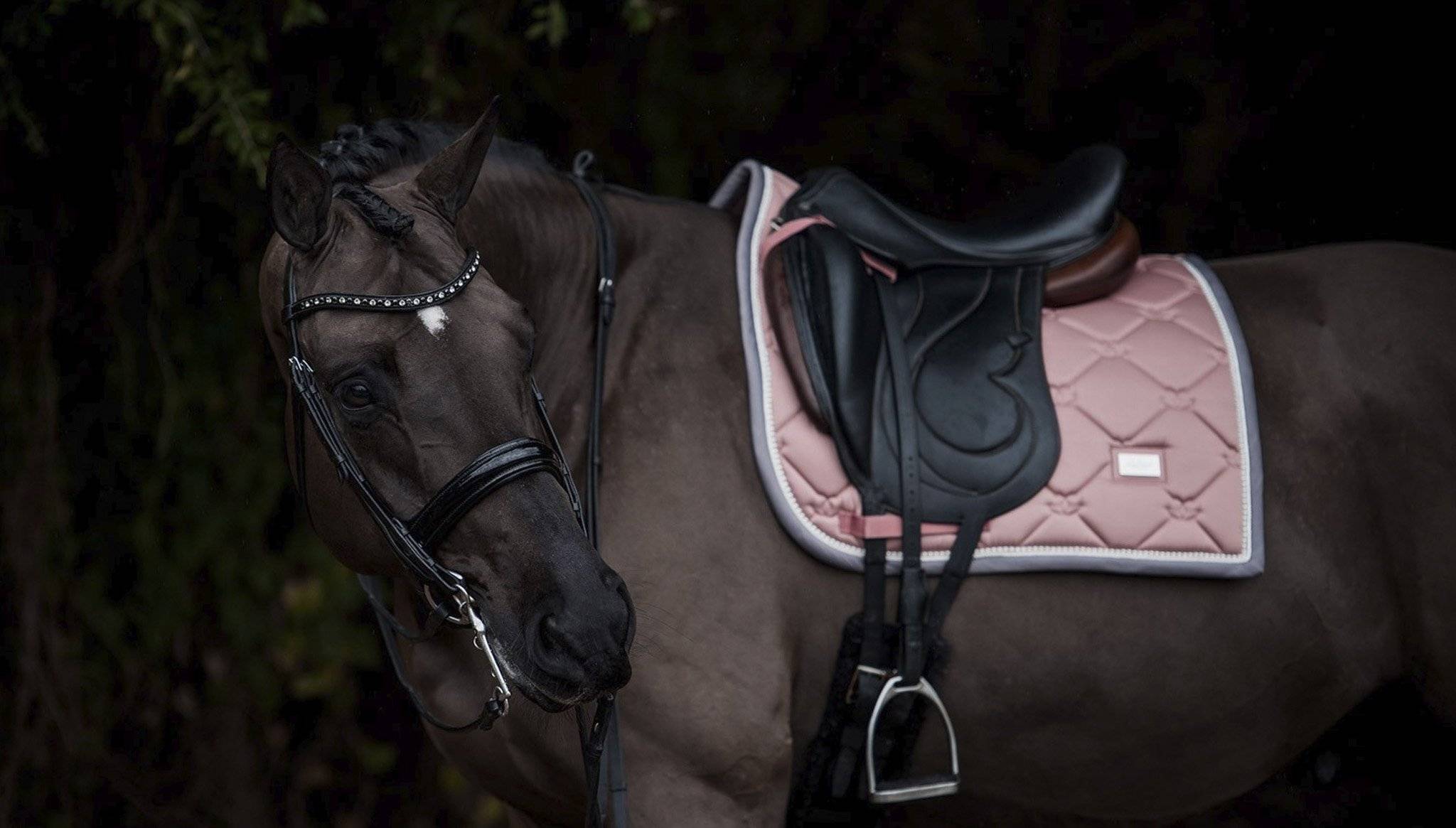 Equestrian Stockholm Dressurschabracke pink pearl