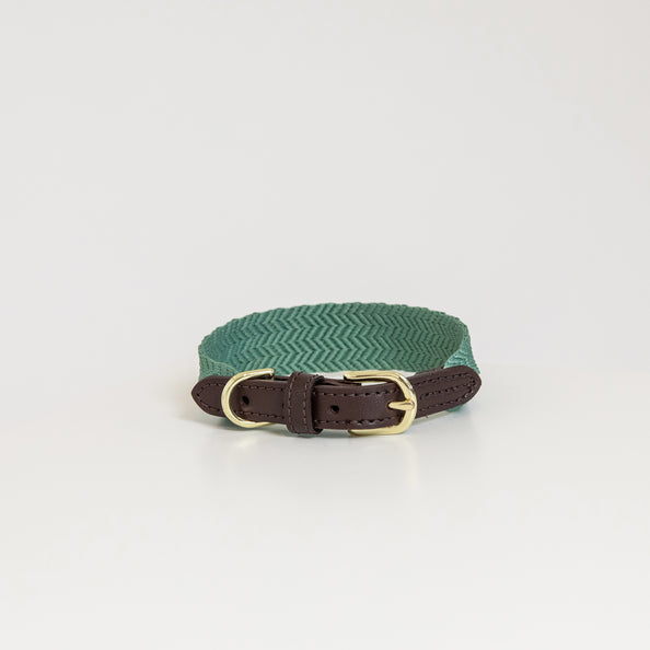 Kentucky Hundehalsband Jacquard